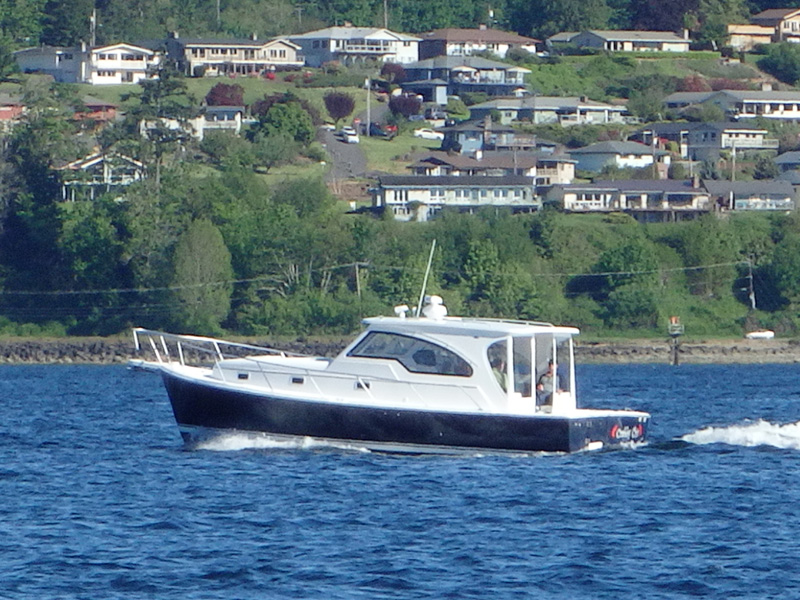 P5200091